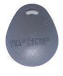 Chip, card, keychain, contactless, RFID 125KHz, gray 